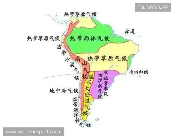 阿根廷足球6号球星风采解析及其在球队中的关键作用